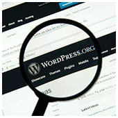 A checklist for avoiding WordPress website issues